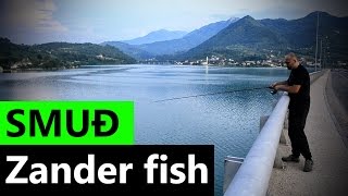 Ribolov na smuđ | Fishing Zander fish