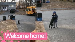 Dog Greets Owner after he Gets Off School Bus