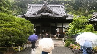 二泊三日の伊豆ツアー初日 雨の中伊豆