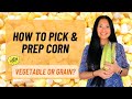 Corn 101: How to Pick and Prep Corn | Explore Whole Grain