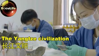 The Yangtze civilization 长江文明