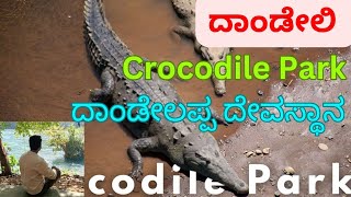 ಮೊಸಳೆ ಪಾರ್ಕ್ ಸಂಪೂರ್ಣ ಮಾಹಿತಿ||Dandeli Complete Info|| #viralvideo  #travel