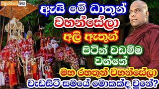 පෙරහැරට අලි ඇතුන් භාවිත කිරීම බුදුන් වහන්සේ සිටියනම් අනුමත කරයිද? | galigamuwe gnanadeepa thero bana