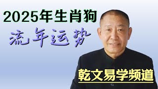 属狗人必看！2025年贵人扶持与凶星化解全攻略