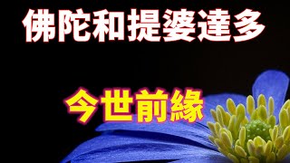 【菩提本無樹】佛陀和提婆達多的今世前緣​