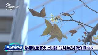 氣象署：聖嬰現象影響 今年寒天燒烙厚雨水 | 公視台語台 | 20231128