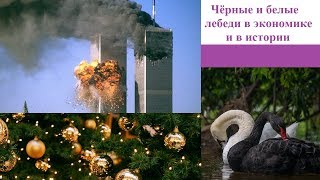 Чёрные и белые лебеди в экономике и в истории