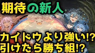 新フェス限のホノりんアワりんをカイドウより強いのか試してみたらやばい【パズドラ】