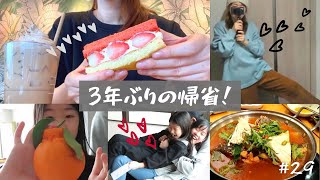 義父母と3年振りに再会 l スタバ朝活 l お家料理【韓国に住む日本人主婦vlog】