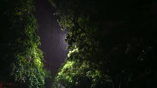 잠 잘 오는 빗소리   비 오는 밤 수면을 위한 폭우 빗소리, 즉시 불면증 해소