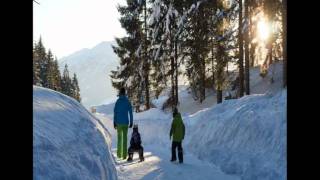 Rodelspass im Alpbachtal - Reither Kogel, Panoramaweg