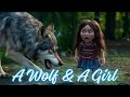 A Wolf & A Girl l FLO Toon