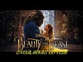 EVERMORE - BEAUTY AND THE BEAST COVER