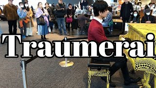 【都庁ピアノ】Kinderszenen【Traumerai】Op.15-7 Schumann /子供の情景 トロイメライ シューマン