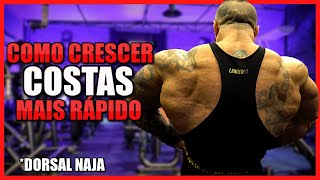 COMO CRESCER COSTAS MAIS RÁPIDO [TREINO COMPLETO]