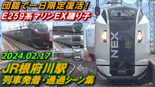 【E259系マリンEX踊り子など!】JR東海道線 根府川駅 列車発着･通過シーン集 2024.02.17