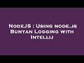 NodeJS : Using node.js Bunyan Logging with Intellij