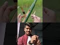 new bamboo art gun vs desi gun 😃 gun trending viralvideo