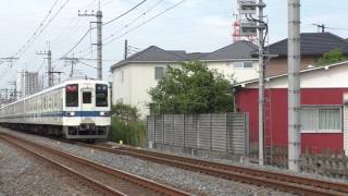 【幕車急行】東武8000系8163F 急行大宮行 豊春～八木崎通過