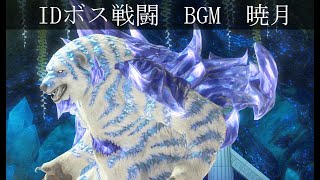 FFVIX　ID　ボス戦闘　BGM　暁月　30分