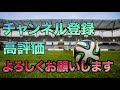 【本田圭佑】サガン鳥栖の金監督のパワハラ問題に一言！パワハラ問題を解決するためには、、。【切り抜き サガン鳥栖 金監督 パワハラ ライブ配信】