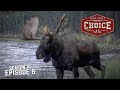 Moose Mania Yukon Style - Part 1 - Archer’s Choice (Full Episode) // S14: Episode 6