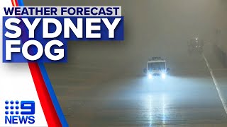 Thick fog swallows Sydney, National forecast | Weather | 9 News Australia