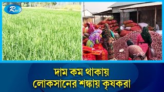 উৎপাদন খরচের চেয়ে বাজারে পেঁয়াজের দাম কম | Price | Onion | Rtv News