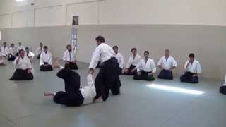 Sensei Pascal Guillemin Seminar in Aikido Academy June 2014