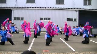 【1回目】極舞人 トントン祭り2013