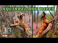 Squirrel Dog Tales – TN WildCast 384