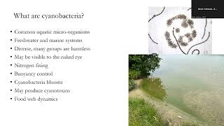 Cyanobacteria Test Training