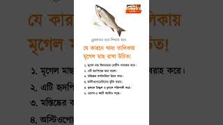 যে কারণে খাদ্য তালিকায় মৃগেল মাছ রাখা উচিত | why you should include mrigal fish your diet #shorts