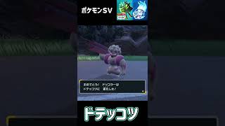 ドッコラー　ドテッコツ　ローブシン　進化　ポケモンSV みどりの仮面　#ポケモン #ポケモンsv