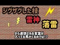 【エルムステークス 2021】サイン馬券　軸馬は◯◯だっ！◯◯が後ろからくる！？逃げ馬は逃げ切れるか？