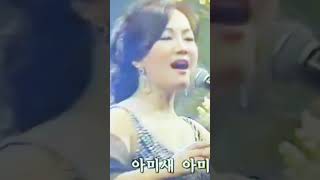 염수연  #염수연전통트롯가수 #국민가수염수연 #원곡현철 #아미새