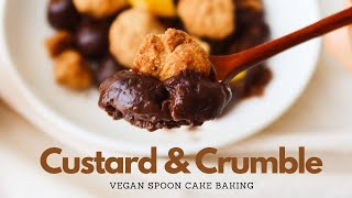 Vegan Chocolate Custard Cream recipe with vegan CRUMBLE topping 