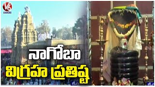 Idol Prestige In Nagoba Temple, Adivasis Throng To Temple | Keslapur  |Adilabad Dist  | V6 News