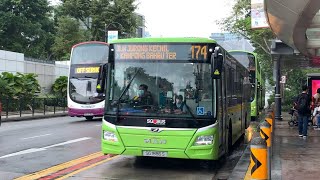 [SBST] Cameo! - SG1886S on Service 174 [MAN A22 Euro 6] #shorts