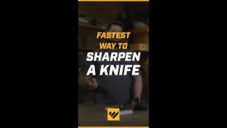 Fastest way to sharpen a knife!  #shorts