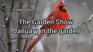 The Garden Show January Gardening episode 1004