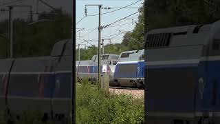 TGV train passing through at full speed