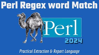 Perl Regex: Match Word In String & Get Length 2024