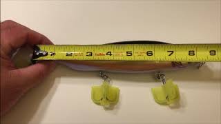 MEGABASS MEGADOG Quick review by Aaron Perelli