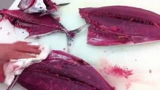 【日料刀工系列】How to Fillet Fish For Bonito 鲣鱼刀工分解#63 CHANNEL 2016