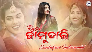 Rasa Jamudali || Sambalpuri Instrumental Dj Song || Sbp Dj World