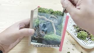 這可能是你看過最詳細的苔蘚微景觀教程This may be the most detailed moss landscape tutorial you have ever seen