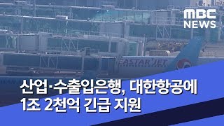 산업·수출입은행, 대한항공에 1조 2천억 긴급 지원 (2020.04.24/5MBC뉴스)