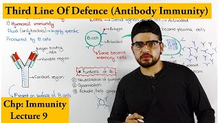 Humoral Or Antibody Immunity | A type of Adaptive Immunity |