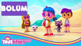 Arkadaşlık Günü  - TAM BÖLÜM - True ve Gökkuşağı Krallığı 🌈   Çizgi Film - Cartoon Network